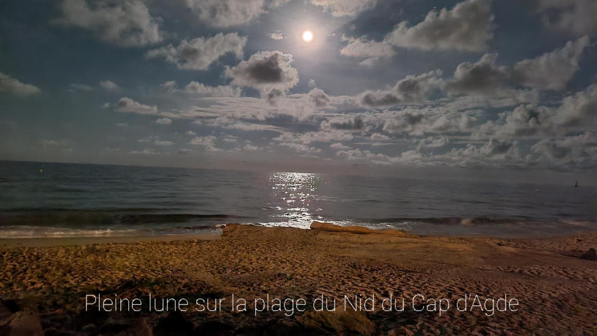 Residence De Standing La Pecherie Spacieux T3 Comme Un Cocon Familial Vue Mer Et Sur L'Avant Port Sur Le Bout Du Bout De Cap D'Agde Seule Cap En Occitanie Luaran gambar