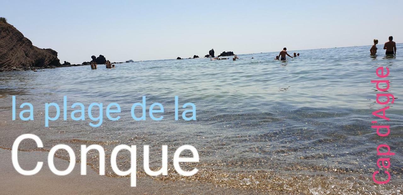 Residence De Standing La Pecherie Spacieux T3 Comme Un Cocon Familial Vue Mer Et Sur L'Avant Port Sur Le Bout Du Bout De Cap D'Agde Seule Cap En Occitanie Luaran gambar
